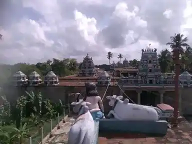 Arulmigu Kolundeeeswarar Temple, Kottur - 614708 அருள்மிகு கொழுந்தீஸ்வரர் திருக்கோயில், கோட்டூர் - 614708, Thiruvarur - Ancient Temple Architecture and History Image 6