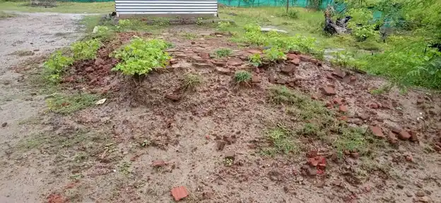 Arulmigu Konanathaswamy Temple, Ekkal - 614703 அருள்மிகு கோவுநாதசுவாமி திருக்கோயில், Ekkal - 614703, Thiruvarur - Ancient Temple Architecture and History Image 3