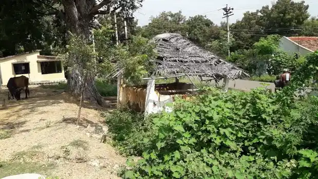 Arulmigu Kondan Temple, Therkupethampatti - 625014 கொண்டன் கோயில், Therkupethampatti - 625014, Madurai - Ancient Temple Architecture and History Image 3