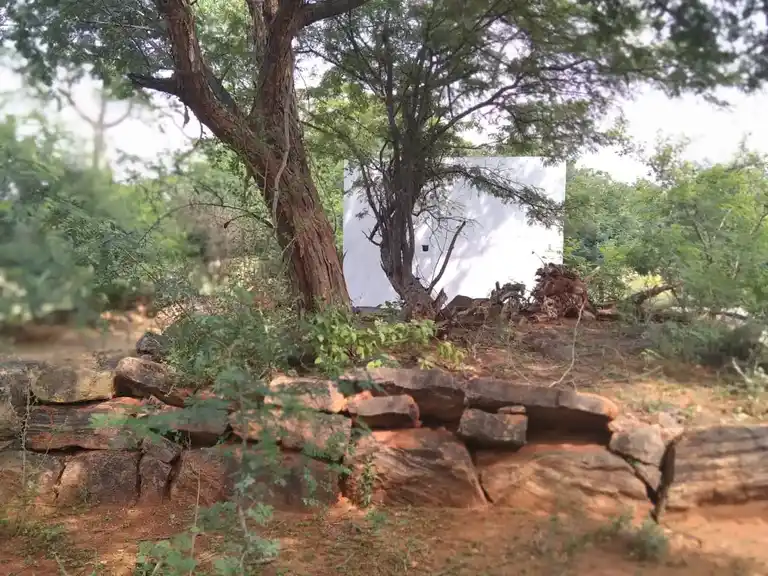 Arulmigu Kongurayan Temple, Notchipatty - 624620 அருள்மிகு கொங்குராயன் திருக்கோயில், Notchipatty - 624620, Dindigul - Ancient Temple Architecture and History Image 3