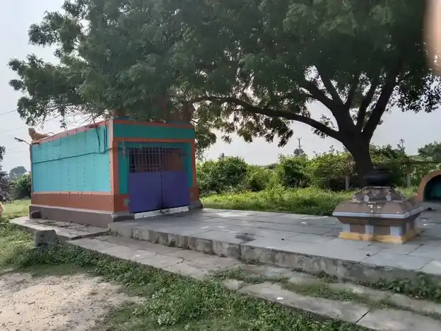 Arulmigu Koniamman Temple, Vilangadu Pakkam, Chennai - 600052 அருள்மிகு கோனியம்மன் திருக்கோயில், விளாங்காடு பாக்கம், சென்னை - 600052, Tiruvallur - Ancient Temple Architecture and History Image 3