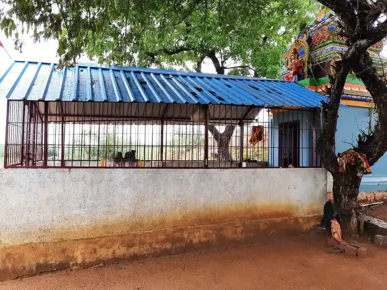 Arulmigu Konnai Amman Temple, Pallipattu - 606104