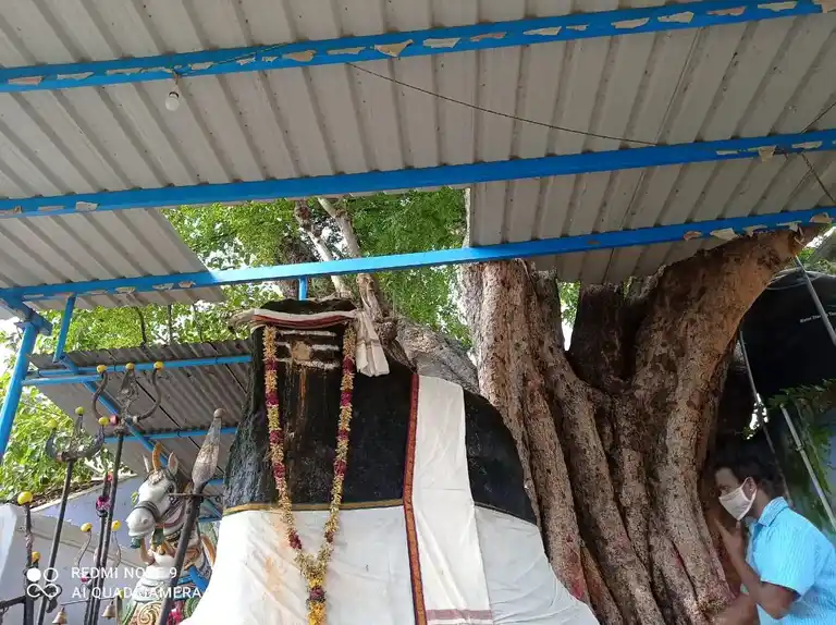 Arulmigu Koochkal Muniappan Temple, Salem - 636003 அருள்மிகு கூச்சிக்கல் முனியப்பன் திருக்கோயில், Salem - 636003, Salem - Ancient Temple Architecture and History Image 4