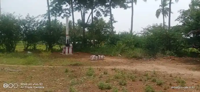 Arulmigu Kooraangu Perumal Temple, Anjukulipatti - 624308 அமி,கூரான்கு பெருமாள் கோயில், Anjukulipatti - 624308, Dindigul - Ancient Temple Architecture and History Image 3