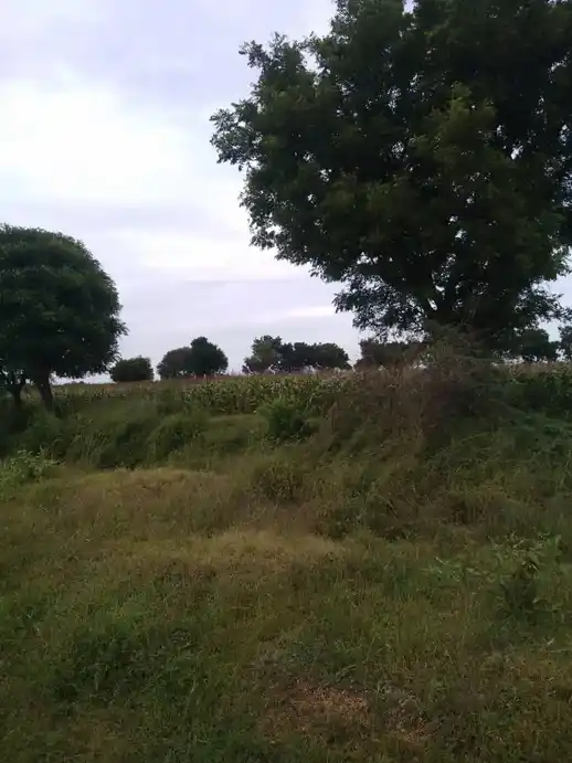 Arulmigu Koothadi Temple, Kadugur - 621705 Arulmigu Koothadi Temple,  - 621705, Ariyalur - Ancient Temple Architecture and History Image 3