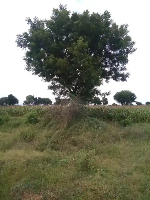 Arulmigu Koothadi Temple, Kadugur - 621705 Arulmigu Koothadi Temple,  - 621705, Ariyalur - Ancient Temple Architecture and History Image 4