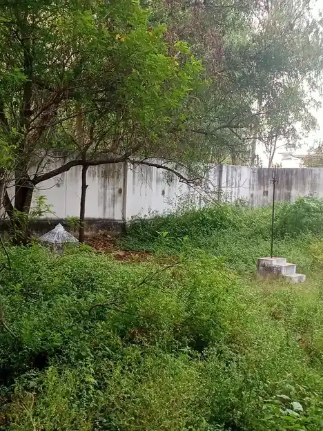 Arulmigu Koothandavar Temple, Nambiyampatty, Eranapuram - 637103 அருள்மிகு கூத்தாண்டவர் திருக்கோயில், Nambiyampatty, Eranapuram - 637103, Salem - Ancient Temple Architecture and History Image 2