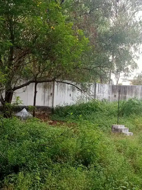 Arulmigu Koothandavar Temple, Nambiyampatty, Eranapuram - 637103 அருள்மிகு கூத்தாண்டவர் திருக்கோயில், Nambiyampatty, Eranapuram - 637103, Salem - Ancient Temple Architecture and History Image 3