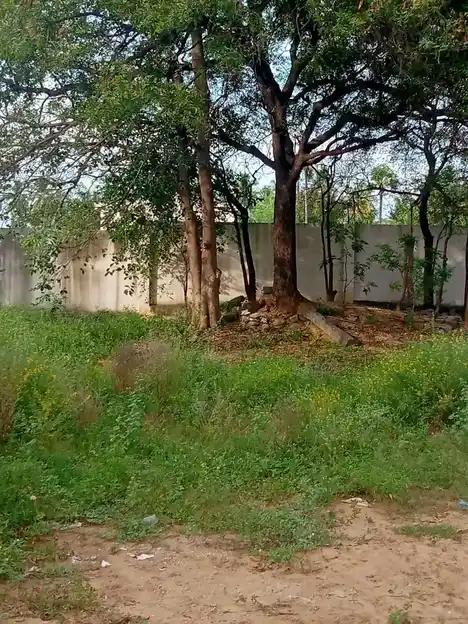 Arulmigu Koothandavar Temple, Nambiyampatty, Eranapuram - 637103 அருள்மிகு கூத்தாண்டவர் திருக்கோயில், Nambiyampatty, Eranapuram - 637103, Salem - Ancient Temple Architecture and History Image 4