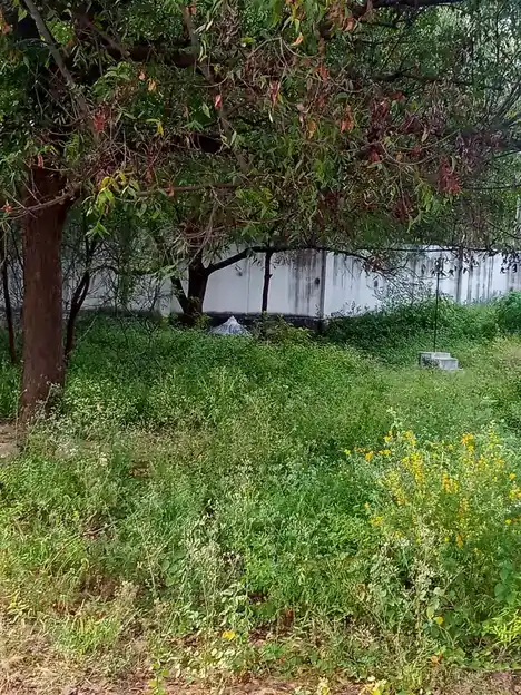 Arulmigu Koothandavar Temple, Nambiyampatty, Eranapuram - 637103 அருள்மிகு கூத்தாண்டவர் திருக்கோயில், Nambiyampatty, Eranapuram - 637103, Salem - Ancient Temple Architecture and History Image 5