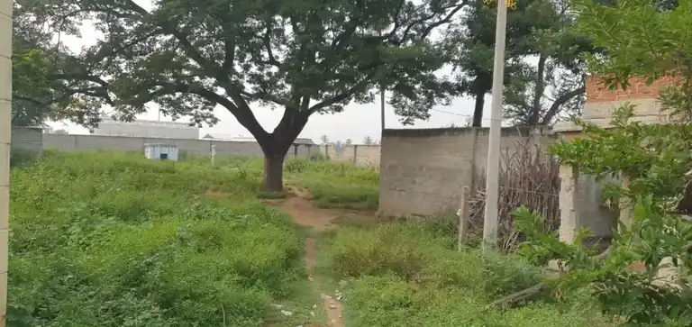 Arulmigu Koothandavar Temple, Valaiyampattu - 635751 அருள்மிகு கூத்தான்டவர் திருக்கோயில், வளையாம்பட்டு - 635751, Thirupathur - Ancient Temple Architecture and History Image 3