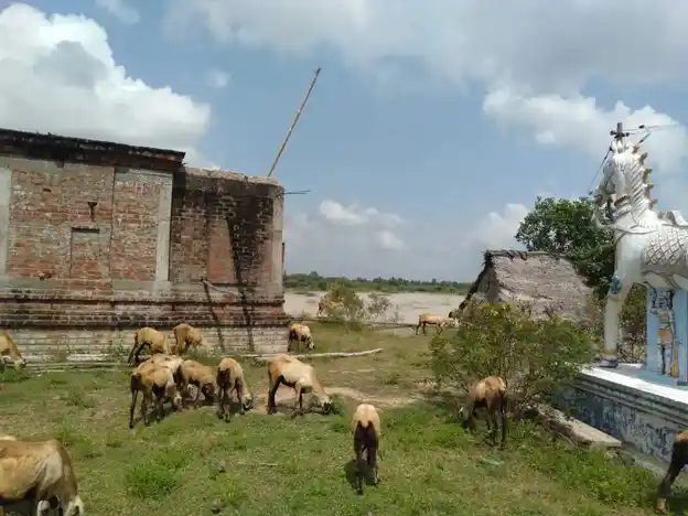 Arulmigu Kooththa Perumal Ayyanar Temple, Pukkudi - 630108
