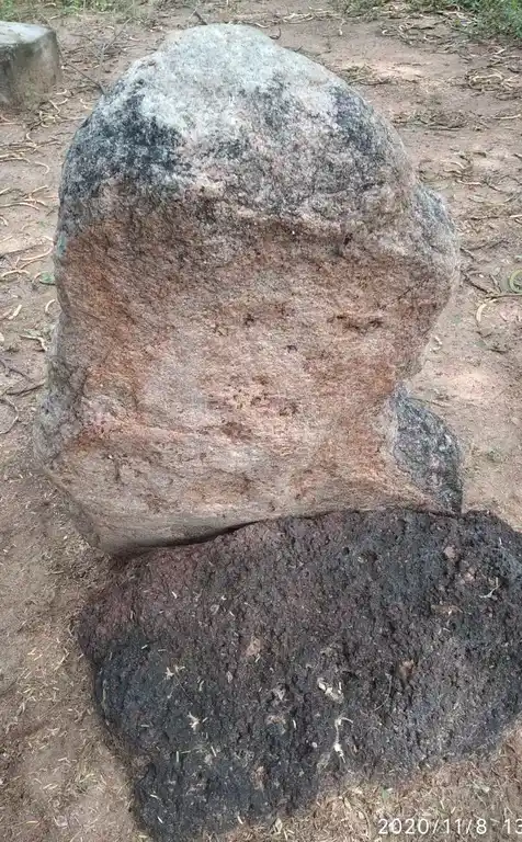 Arulmigu Kootthappa Ayyanar Temple, Theraavur - 621316 அருள்மிகு கூத்தப்ப அய்யனார் திருக்கோயில், Theraavur - 621316, Pudukkottai - Ancient Temple Architecture and History Image 5