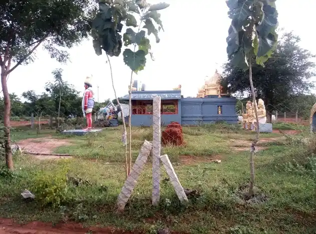 Arulmigu Koppatiyamman Temple, Sirukalathur - 621710 Arulmigu Koppatiyamman Temple, Sirukalathur - 621710, Ariyalur - Ancient Temple Architecture and History Image 3