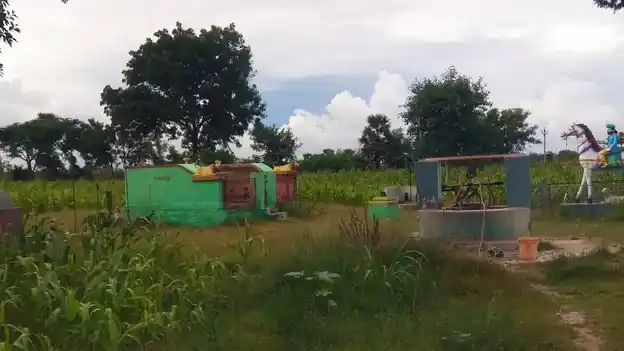 Arulmigu Koppatti Temple, Melakaruppur - 621707 Arulmigu Koppatti Temple,  - 621707, Ariyalur - Ancient Temple Architecture and History Image 2