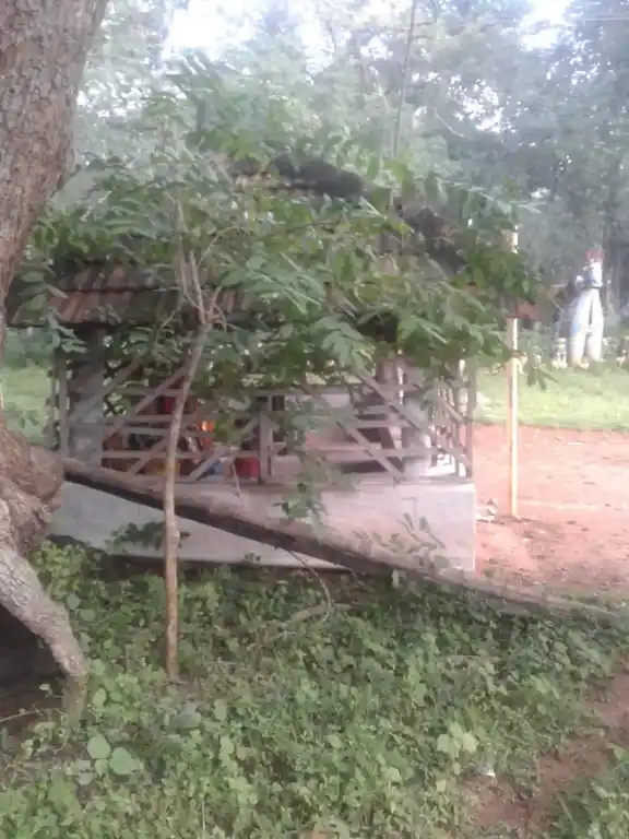 Arulmigu Koppuchiyamman Temple, Pottapatti - 625103