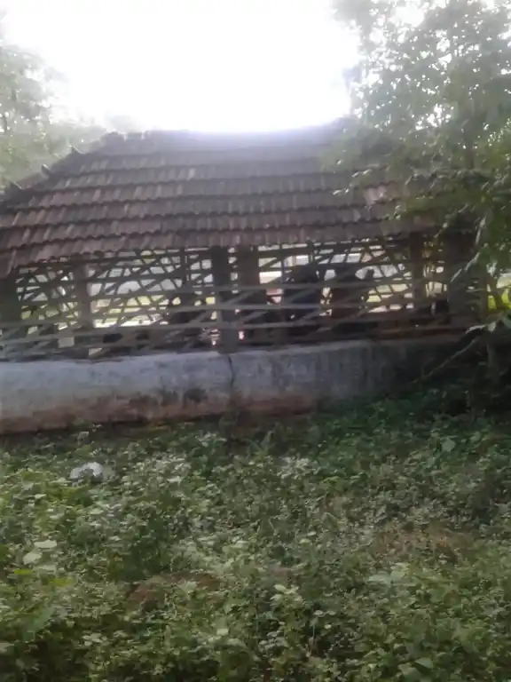 Arulmigu Koppuchiyamman Temple, Pottapatti - 625103 அருள்மிகு கோப்புச்சியம்மன் கோயில், Pottapatti - 625103, Madurai - Ancient Temple Architecture and History Image 2