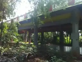 Arulmigu Koppudai Nayakiyamman Temple, Konappattu, Konappattu - 622503 அருள்மிகு கொப்புடைநாயகி அம்மன் திருக்கோயில், Konappattu, Konappattu - 622503, Pudukkottai - Ancient Temple Architecture and History Image 7