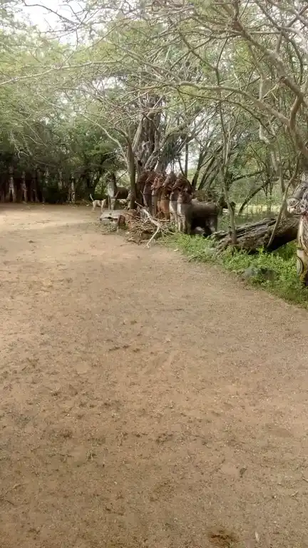 Arulmigu Korakkaruppar Temple, Mettuttheru - 622101 அருள்மிகு கொரக்கருப்பர் திருக்கோயில், Mettuttheru - 622101, Pudukkottai - Ancient Temple Architecture and History Image 2