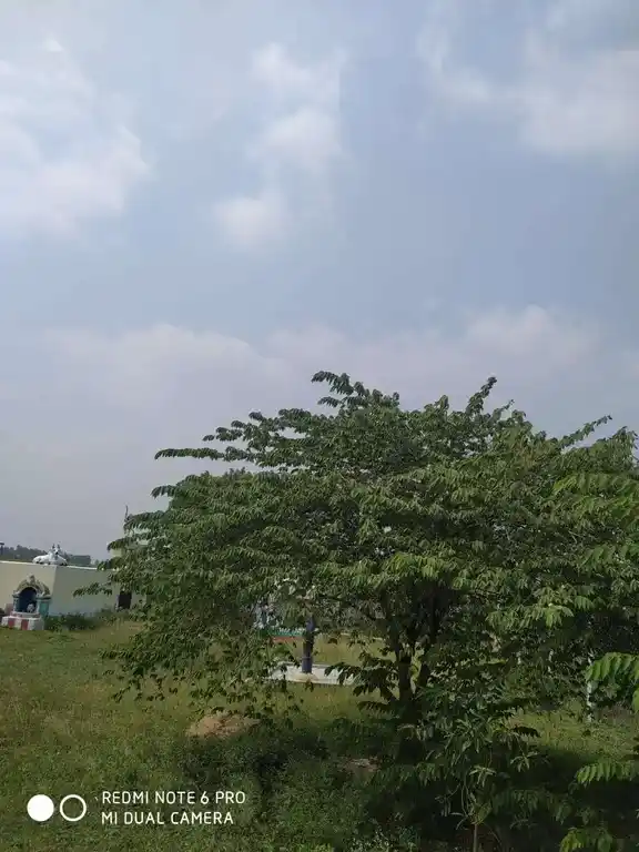 Arulmigu Korathakudi Muthaiyan Temple, Siruvayalur - 621706 Temple