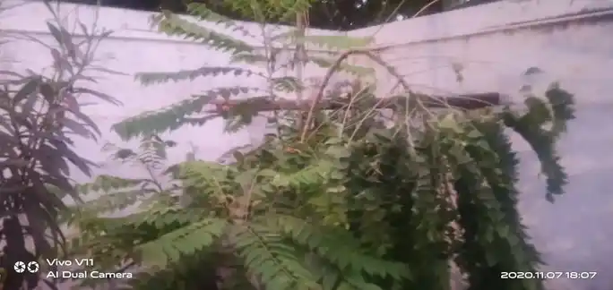 Arulmigu Kothandaramar Temple, Near Register Office, Krishnagiri - 635001 அருள்மிகு கோதண்டராமர் திருக்கோயில், Near Register Office, Krishnagiri - 635001, Krishnagiri - Ancient Temple Architecture and History Image 3