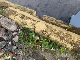 Arulmigu Kothandaramasamy Temple, Kattuveppilaipatti - 636104 அருள்மிகு கோதண்டராமசாமி திருக்கோயில், Kattuveppilaipatti - 636104, Salem - Ancient Temple Architecture and History Image 2