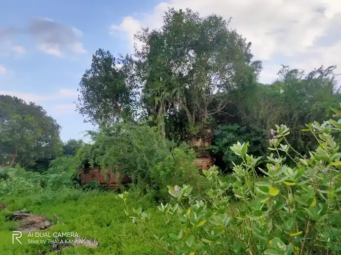 Arulmigu Kothandaramasamy Temple, Veeranadhapuram - 608301 அருள்மிகு கோதண்டராமசாமி திருக்கோயில், Veeranadhapuram - 608301, Cuddalore - Ancient Temple Architecture and History Image 3