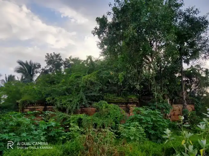 Arulmigu Kothandaramasamy Temple, Veeranadhapuram - 608301 அருள்மிகு கோதண்டராமசாமி திருக்கோயில், Veeranadhapuram - 608301, Cuddalore - Ancient Temple Architecture and History Image 4