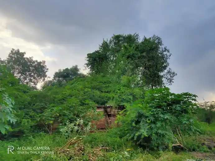 Arulmigu Kothandaramasamy Temple, Veeranadhapuram - 608301 அருள்மிகு கோதண்டராமசாமி திருக்கோயில், Veeranadhapuram - 608301, Cuddalore - Ancient Temple Architecture and History Image 5