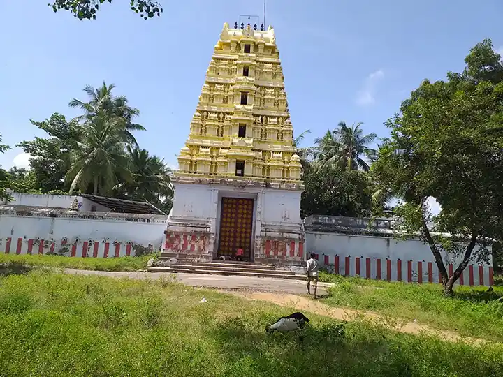 Arulmigu Kothandaramaswamy Temple, Rangapuram, Vellore - 632009 அருள்மிகு கோதண்டராமசாமி திருக்கோயில், ரங்கபுரம், வேலூர் - 632009, Vellore - Ancient Temple Architecture and History Image 5