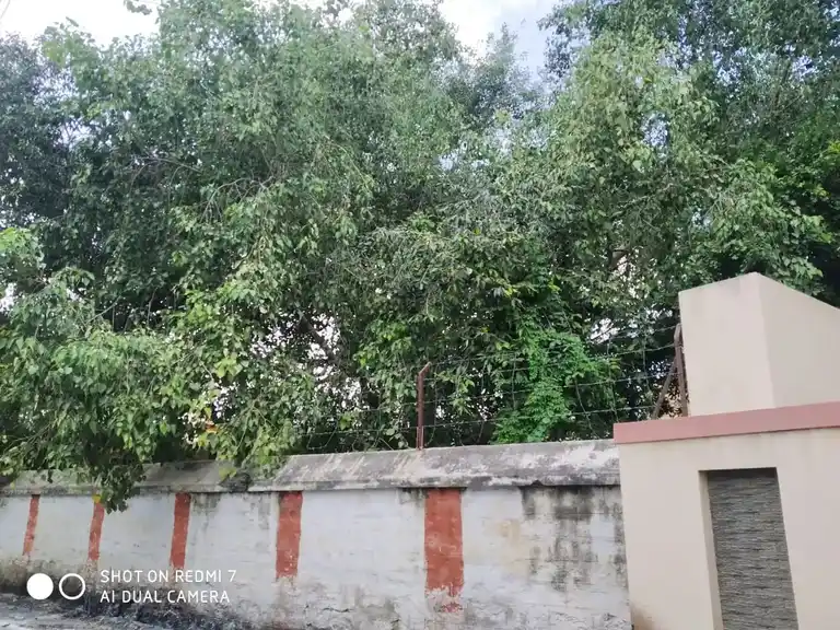 Arulmigu Kottai Brammeswarar Temple, Kottai Street Tirupattur - 635653 அருள்மிகு கோட்டை பிரமேஸ்வரர் திருக்கோயில், கோட்டைதெரு திருப்பத்தூர் - 635653, Thirupathur - Ancient Temple Architecture and History Image 4