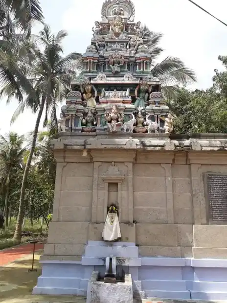 Arulmigu Kottai Mariamman Temple, Dhali - 642112 அருள்மிகு கோட்டை மாரியம்மன் திருக்கோயில், Dhali - 642112, Tiruppur - Ancient Temple Architecture and History Image 4