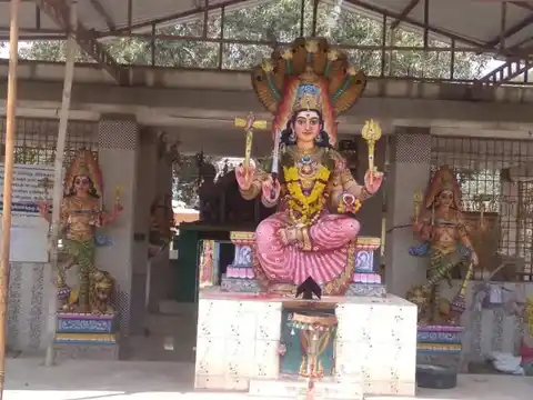 Arulmigu Kottai Mariamman Temple, Paradarami - 632203 அருள்மிகு கோட்டை மாரியம்மன் திருக்கோயில், பரதராமி - 632203, Vellore - Ancient Temple Architecture and History Image 4