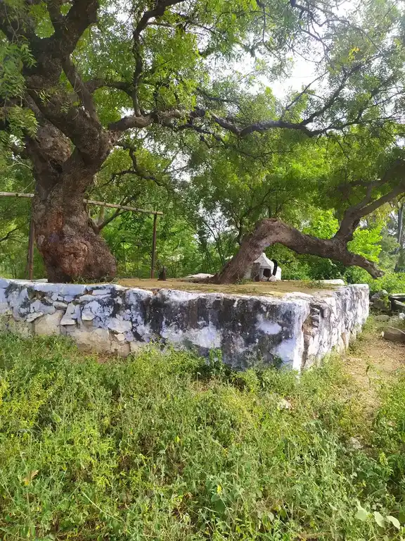 Arulmigu Kottai Muniyappan Temple, Varagoorampatti, Thokkavadi - 637211 கோட்டை முனியப்பன் திருக்கோயில், Varagoorampatti, Thokkavadi - 637211, Namakkal - Ancient Temple Architecture and History Image 4