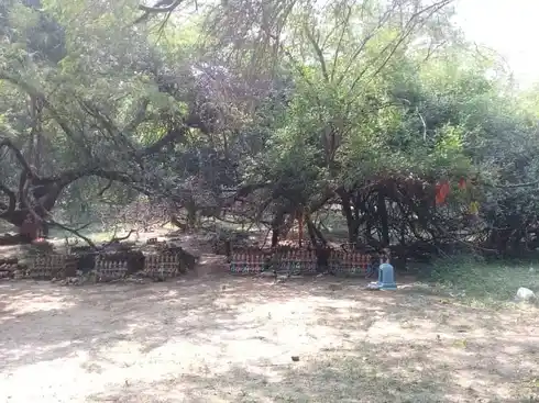 Arulmigu Kottainachiyamman Temple, Vadamavali - 630210