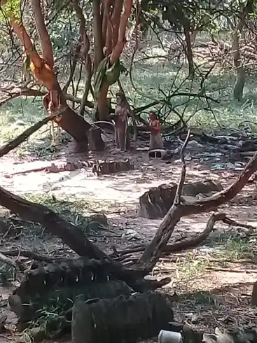 Arulmigu Kottainachiyamman Temple, Vadamavali - 630210 அருள்மிகு. கோட்டை நாச்சியம்மன் திருக்கோயில், Vadamavali - 630210, Sivagangai - Ancient Temple Architecture and History Image 2