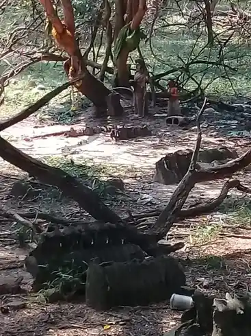 Arulmigu Kottainachiyamman Temple, Vadamavali - 630210 அருள்மிகு. கோட்டை நாச்சியம்மன் திருக்கோயில், Vadamavali - 630210, Sivagangai - Ancient Temple Architecture and History Image 3