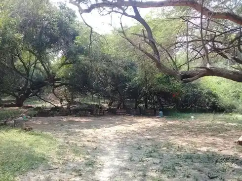 Arulmigu Kottainachiyamman Temple, Vadamavali - 630210 அருள்மிகு. கோட்டை நாச்சியம்மன் திருக்கோயில், Vadamavali - 630210, Sivagangai - Ancient Temple Architecture and History Image 4