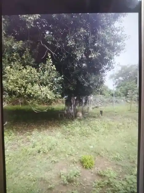 Arulmigu Kottakara Muniyandisamy Temple, Vaiyampatti - 621307 Arulmigu Kottakara Muniyandisamy Temple, Vaiyampatti - 621307, Thiruchirappalli - Ancient Temple Architecture and History Image 2