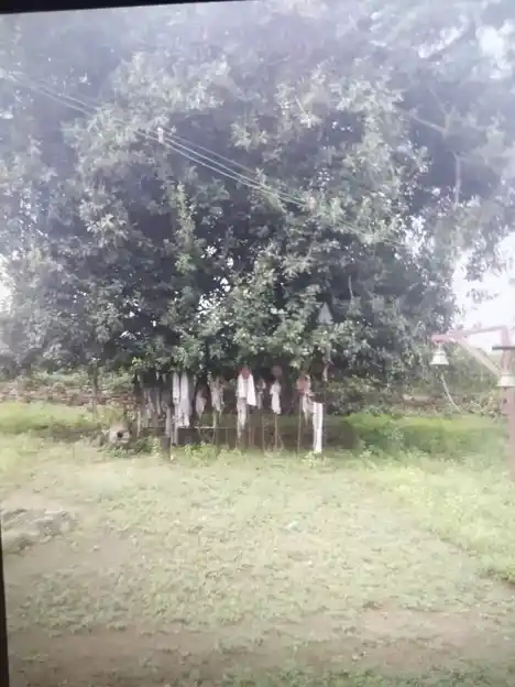 Arulmigu Kottakara Muniyandisamy Temple, Vaiyampatti - 621307 Arulmigu Kottakara Muniyandisamy Temple, Vaiyampatti - 621307, Thiruchirappalli - Ancient Temple Architecture and History Image 3