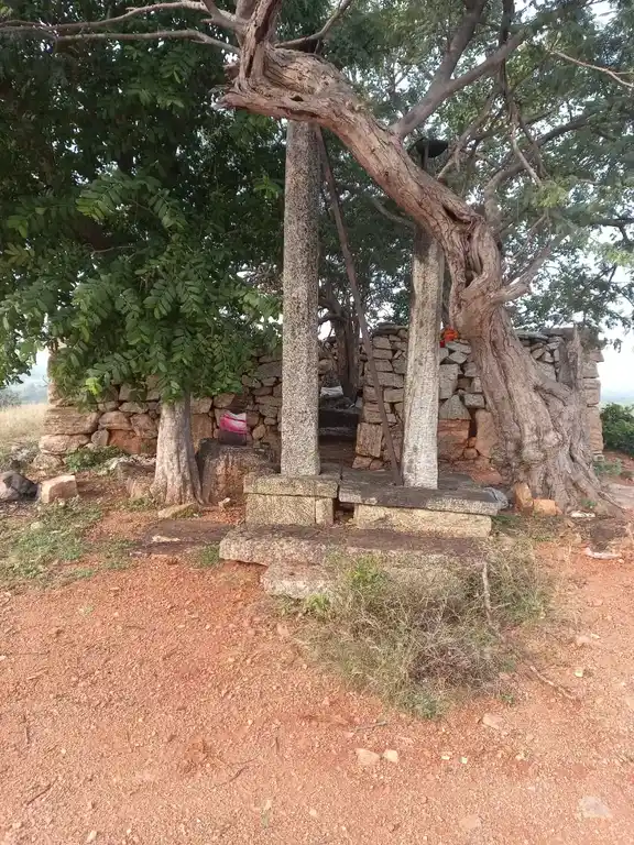 Arulmigu Kottapadi Perumal Temple, Thoppampatti - 621306 Temple