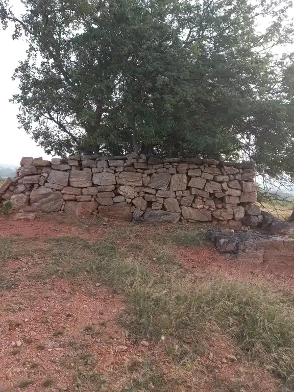 Arulmigu Kottapadi Perumal Temple, Thoppampatti - 621306 Arulmigu Kottapadi Perumal Temple, Thoppampatti - 621306, Thiruchirappalli - Ancient Temple Architecture and History Image 4