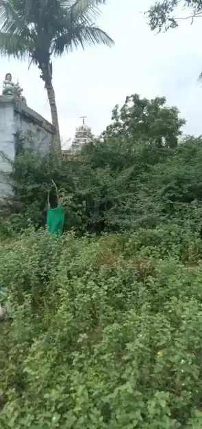 Arulmigu Kovil Patti Ellayaiamman Temple, Vaiyampatti - 621307