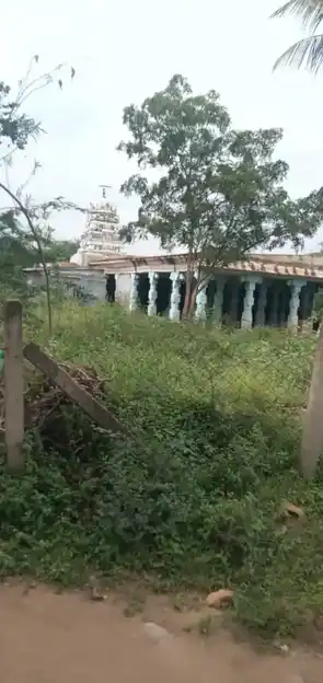 Arulmigu Kovil Patti Ellayaiamman Temple, Vaiyampatti - 621307 Arulmigu Kovil patti Ellayaiamman Temple, Vaiyampatti - 621307, Thiruchirappalli - Ancient Temple Architecture and History Image 2