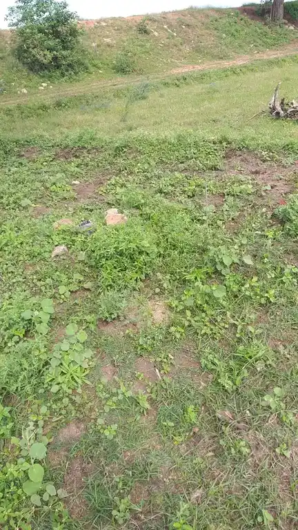 Arulmigu Kovilur Ammacyar Temple, Kovilankulam - 625514 அருள்மிகு அம்மச்சியார் திருக்கோயில், Kovilankulam - 625514, Madurai - Ancient Temple Architecture and History Image 4