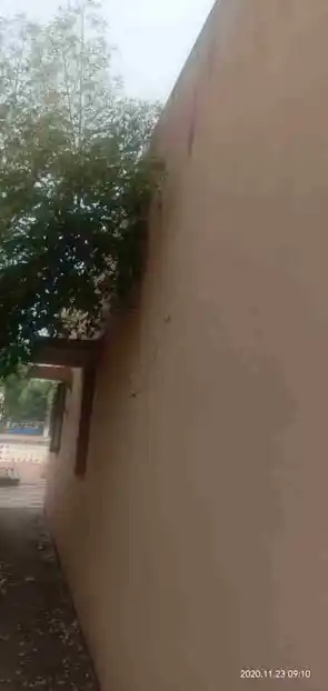 Arulmigu Krishna Swamy Bajanai Temple, Nilamangalam - 603313