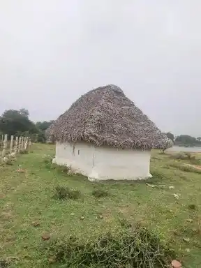Arulmigu Krishnan Senthamaraikannan Temple, Oonaiyur, Thirumayam Taluk - 622102 அருள்மிகு கிருஷ்ணன், செந்தாமரைக்கண்ணன் திருக்கோயில், ஊனையூர், திருமயம் வட்டம் - 622102, Pudukkottai - Ancient Temple Architecture and History Image 2
