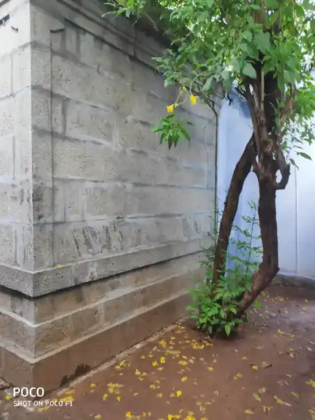 Arulmigu Krishnan Temple, Chokkampatti - 627751 அருள்மிகு கிருஷ்ணன் திருக்கோயில், Chokkampatti - 627751, Tenkasi - Ancient Temple Architecture and History Image 7