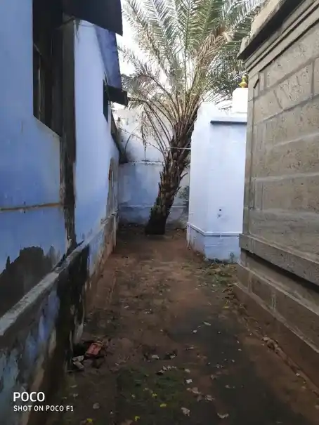 Arulmigu Krishnan Temple, Chokkampatti - 627751 அருள்மிகு கிருஷ்ணன் திருக்கோயில், Chokkampatti - 627751, Tenkasi - Ancient Temple Architecture and History Image 9