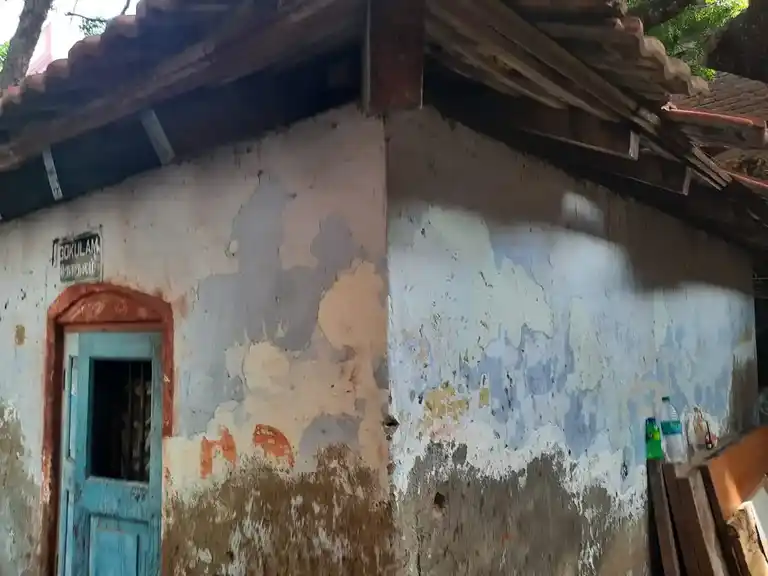 Arulmigu Krishnan Temple, Krishnampet, Chennai - 600005 அருள்மிகு கிருஷ்ணன் திருக்கோயில், கிருஷ்ணம்பேட்டை, சென்னை - 600005, Chennai - Ancient Temple Architecture and History Image 3